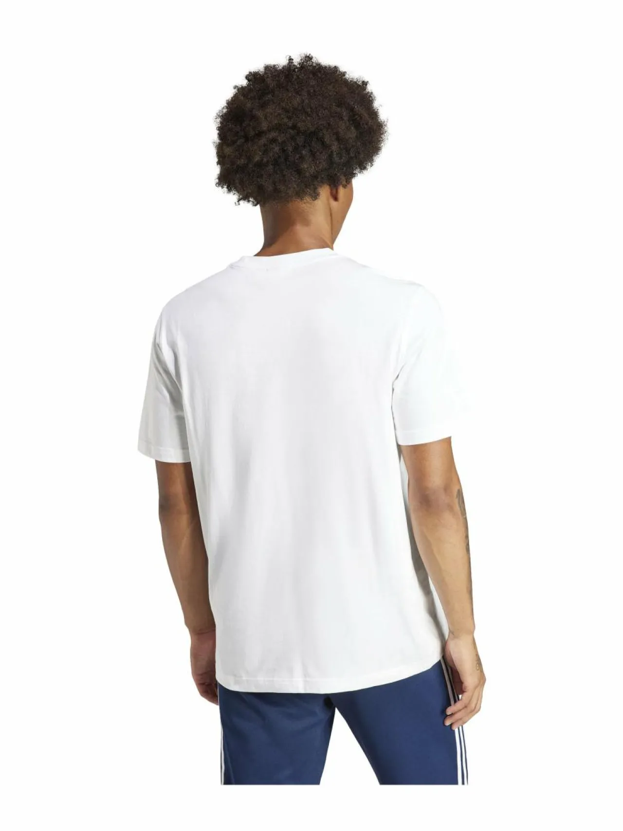 Paidat, Hupparit & Colleget<adidas Originals Adicolor Trefoil t-paita IV5353 WHITE