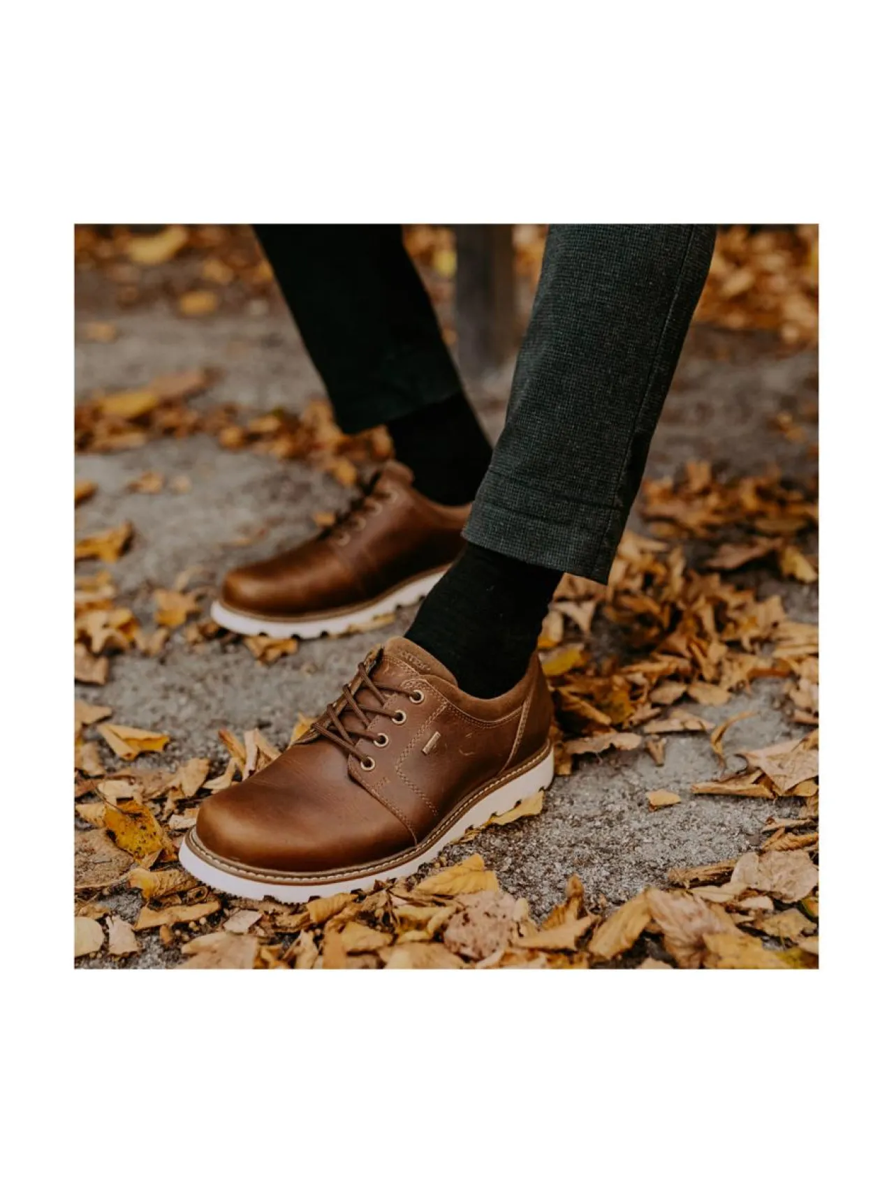 Kävelykengät & Loaferit<Pomar AITA Miesten GORE-TEX® Ekologiset Derby-kengät OAK TERRA PULL-UP/5727 SOLE