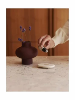 Huonetuoksut & Tuoksukynttilät<Sees Aroma Stone & Lavender -tuoksukivi ja eteerinen öljy