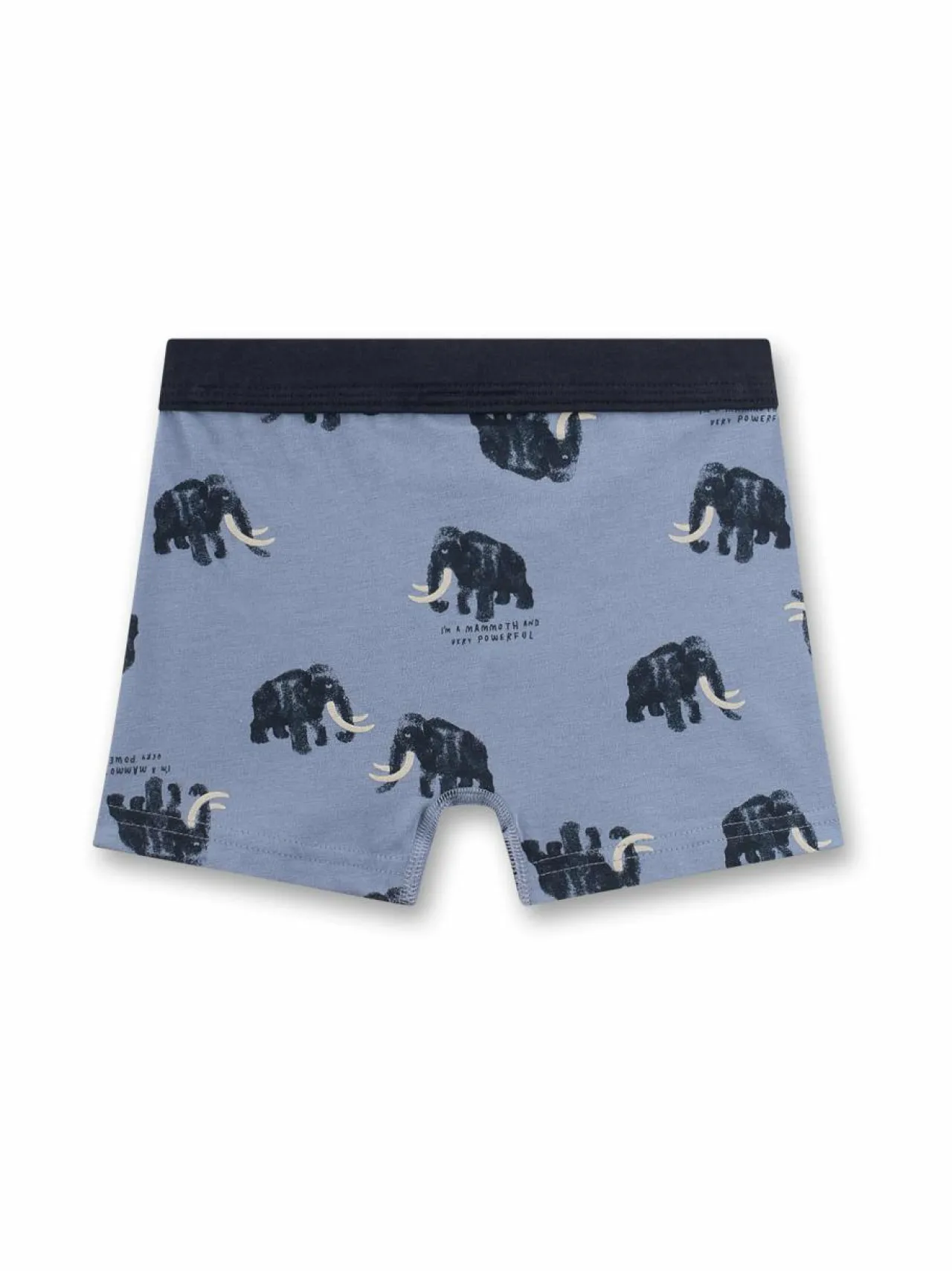 Alusvaatteet<Sanetta B. Mammoth -bokserishortsit 50446 STONE WASH