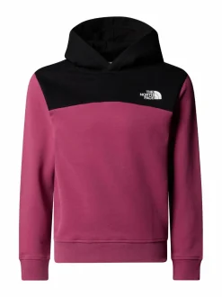Colleget & Hupparit<The North Face Back Logo -collegehuppari BERRY