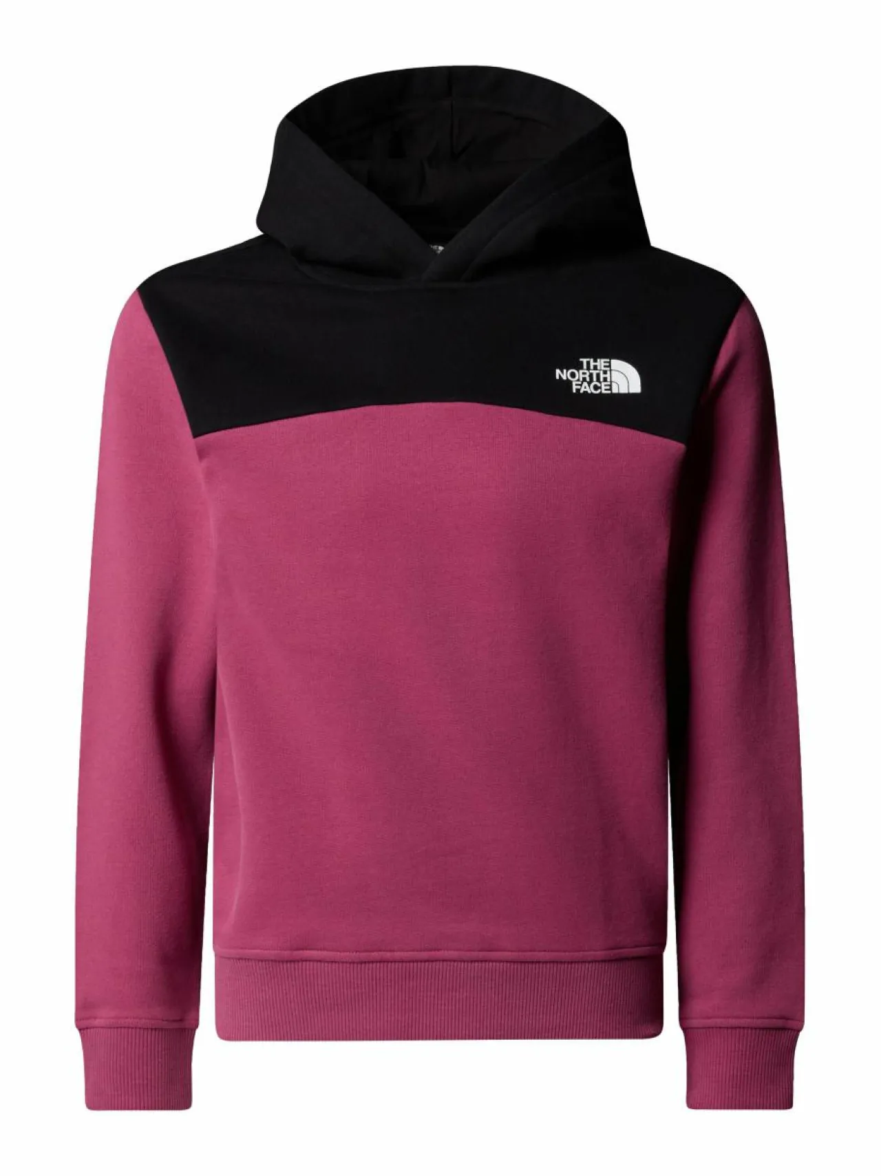 Colleget & Hupparit<The North Face Back Logo -collegehuppari BERRY
