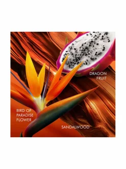 Naiset<Escada Bali Paradise EdT -tuoksu