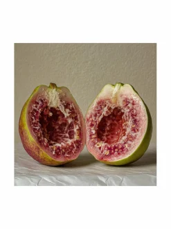 Born To Stand Out Black Guava Extrait Extrême -tuoksu^ Unisex