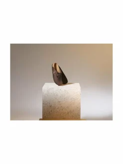 Tohvelit<BIRKENSTOCK Boston-nahkatohvelit HABANA