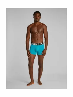 Alusasut<Calvin Klein Underwear Boxer Brief -alushousut 3-pack VP6 MISTY GREY BLACK BLOSSOM GREEN