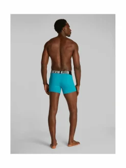 Alusasut<Calvin Klein Underwear Boxer Brief -alushousut 3-pack VP6 MISTY GREY BLACK BLOSSOM GREEN