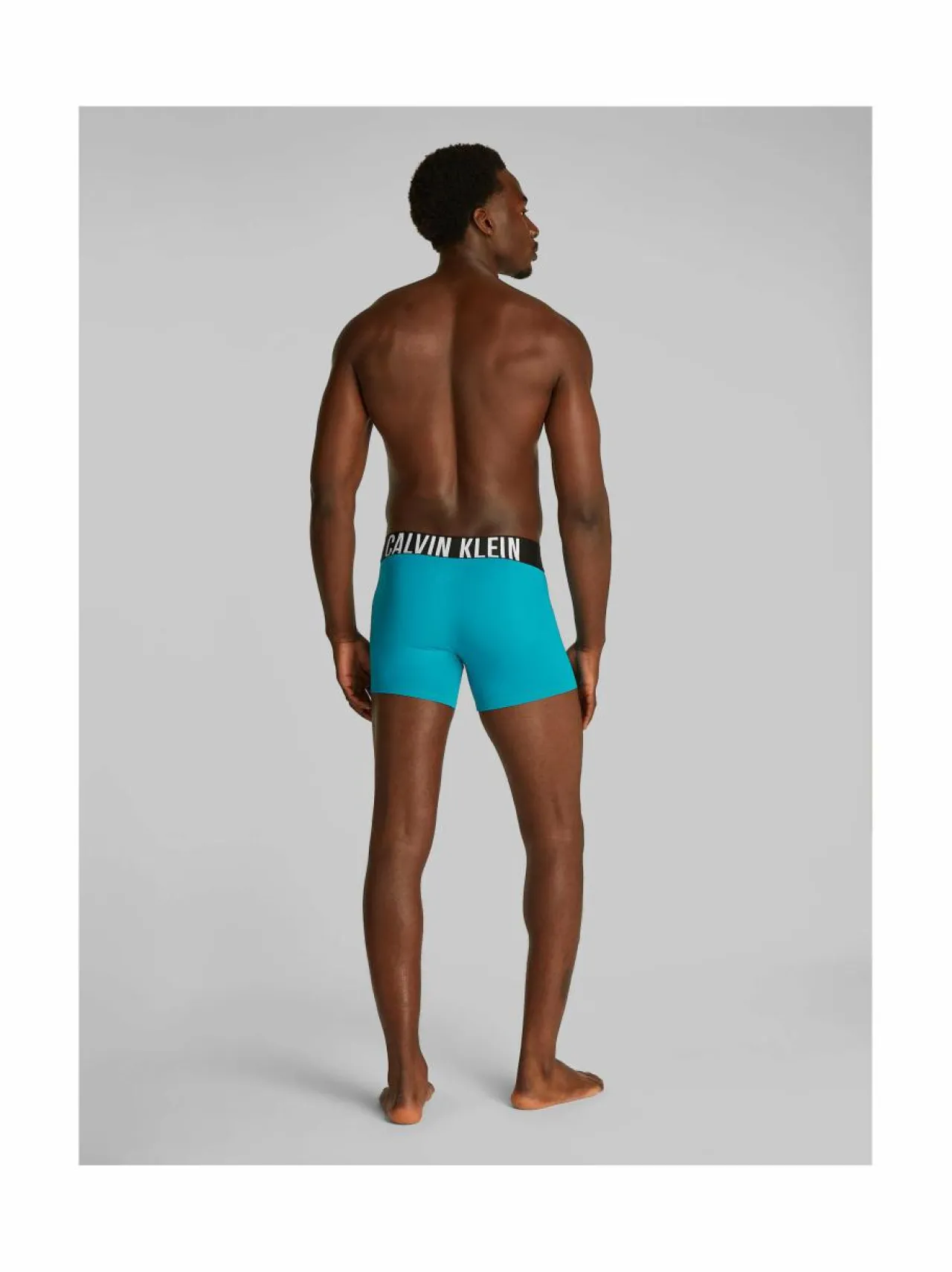 Alusasut<Calvin Klein Underwear Boxer Brief -alushousut 3-pack VP6 MISTY GREY BLACK BLOSSOM GREEN