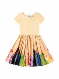 Mekot & Hameet|Mekot & Hameet<Molo Cissa-mekko 3827 RAINBOW PARROTS