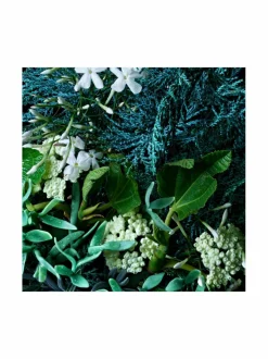 Molton Brown Coastal Cypress & Sea Fennel Bath & Shower Gel -suihkugeeli 300 ml^ Naiset
