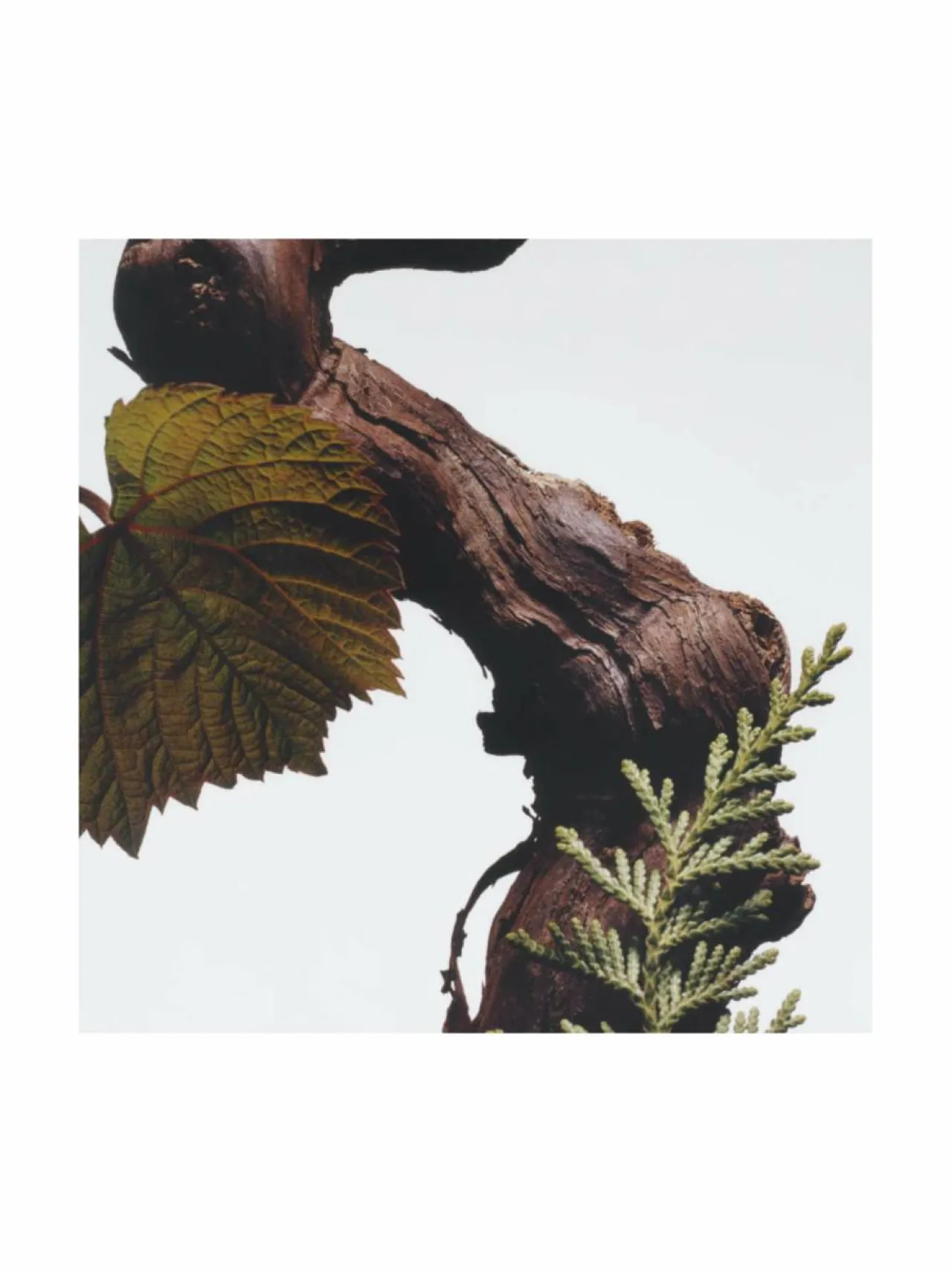Huonetuoksut & Tuoksukynttilät<Jo Malone London Cypress & Grapevine -tuoksukynttilä 200 g