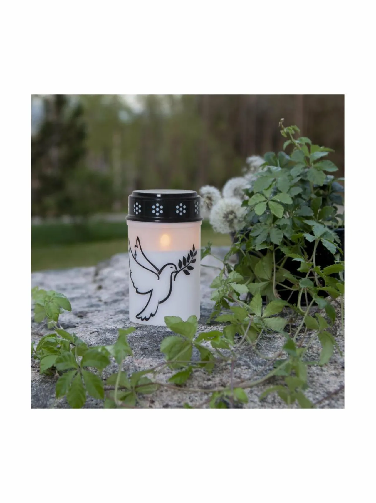 Jouluvalot<Star Trading Dove LED -kynttilä 7,5 x 7,5 x 12,5 cm VALKOINEN