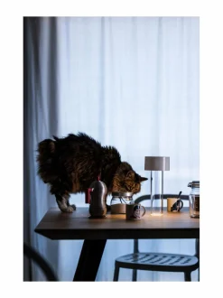 Pöytävalaisimet<Foscarini Fleur Bianco -pöytävalaisin WHITE