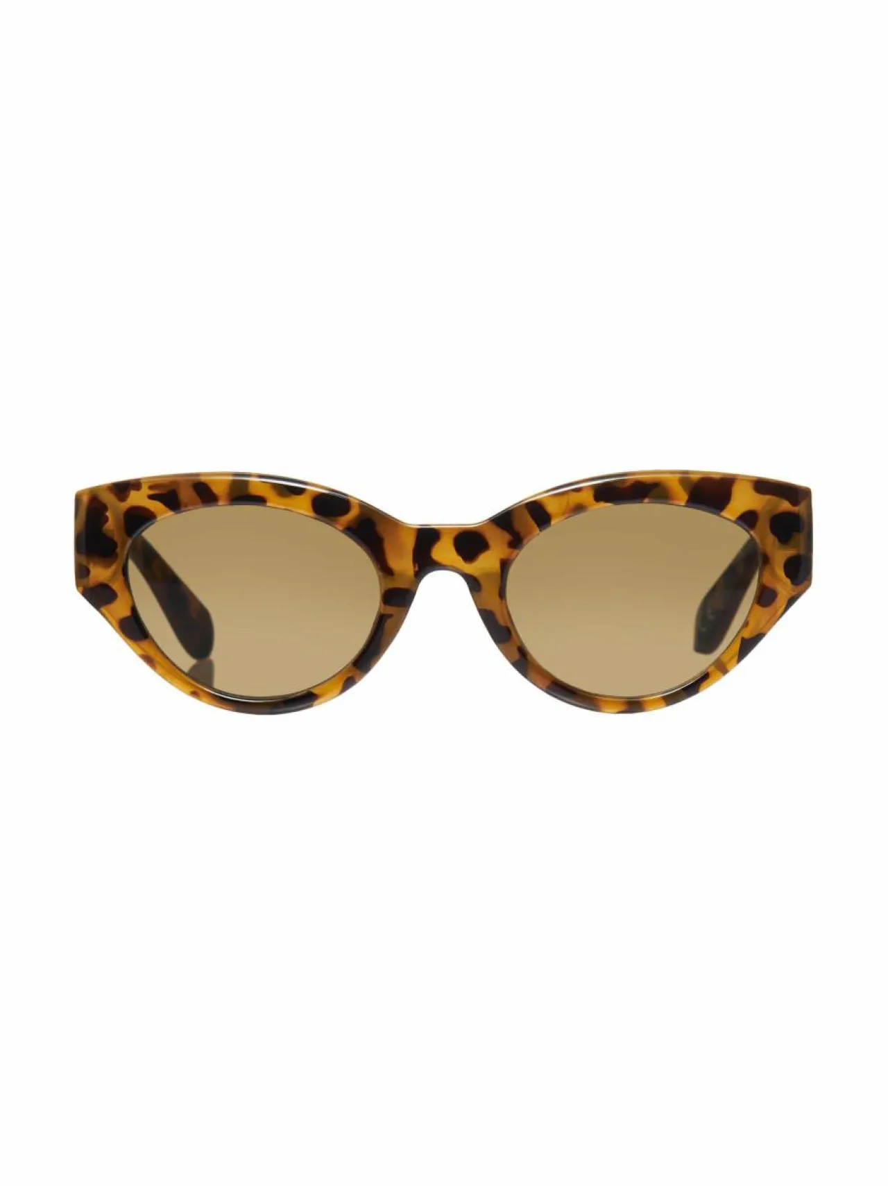 Aurinkolasit|Aurinkolasit<A+more Fran-aurinkolasit SHINY TORTOISE
