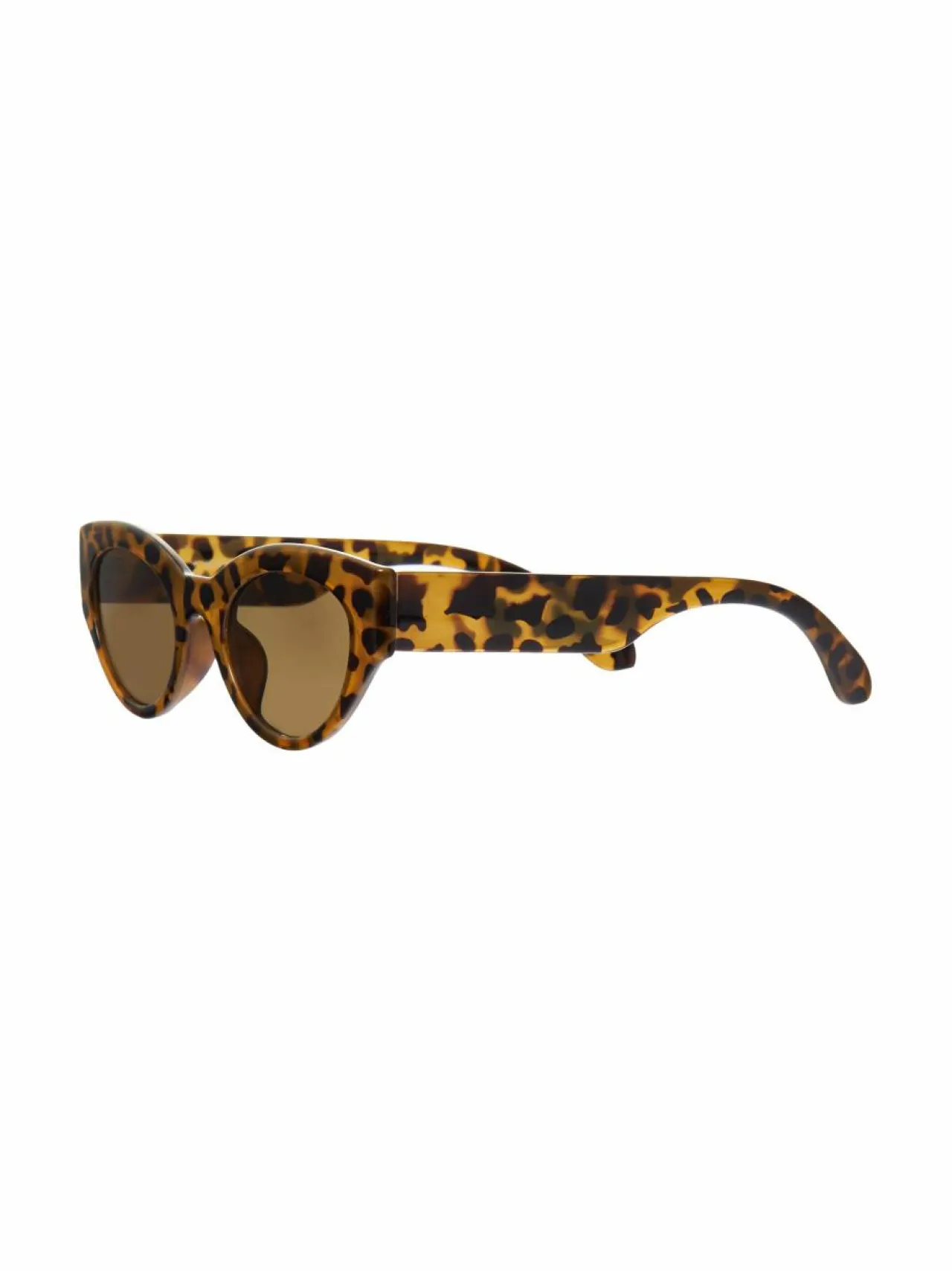 Aurinkolasit|Aurinkolasit<A+more Fran-aurinkolasit SHINY TORTOISE