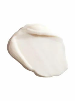 Erborian Ginseng Power Eye -silmänympärysvoide 15 ml^ Kasvojenhoito