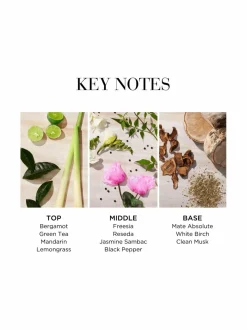 Naiset<Elizabeth Arden Green Tea Citron Freesia EdT -tuoksu