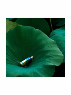 Montale Herbal Aquatica EdP -tuoksu, 100 ml^ Unisex