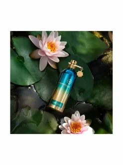 Montale Herbal Aquatica EdP -tuoksu, 100 ml^ Unisex