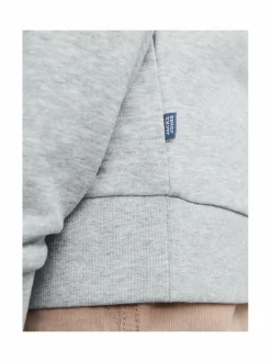 Colleget & Hupparit<JACK & JONES junior JjeBradley-collegepaita LIGHT GREY MELANGE