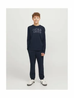 Collegehousut & Leggingsit<JACK & JONES junior JpstGordon JJNewSoft -collegehousut NAVY BLAZER PRINT:TONAL