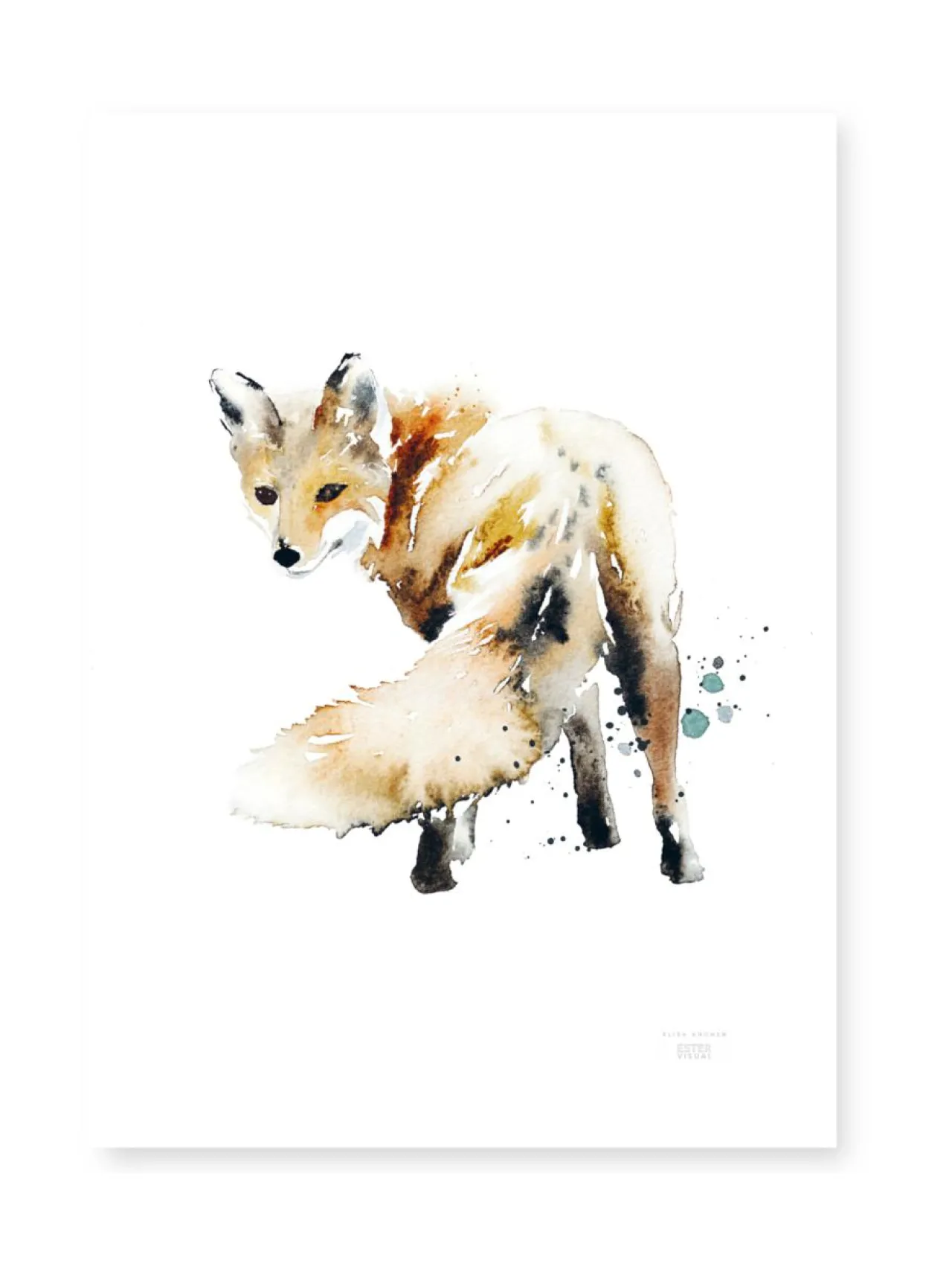 Taulut & Julisteet<ESTER VISUAL Juliste Ketunhäntä 50x70 cm