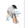 ESTER VISUAL Juliste Kuukkeli 50x70 cm^ Taulut & Julisteet
