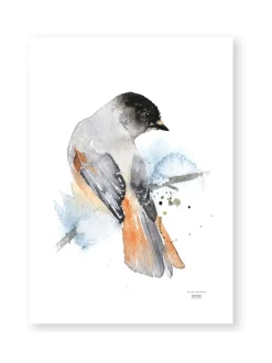 ESTER VISUAL Juliste Kuukkeli 50x70 cm^ Taulut & Julisteet