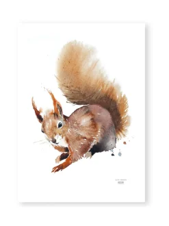 Taulut & Julisteet<ESTER VISUAL Juliste Orava 50x70 cm