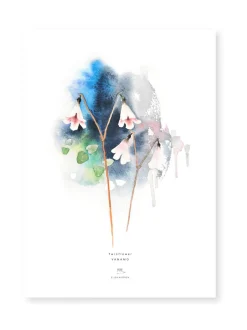 ESTER VISUAL Juliste Vanamo 50x70 cm^ Taulut & Julisteet