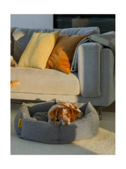 Pedit Ja Makuualustat<Kanto Koiranpeti Luoto HONEY