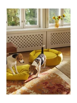 Pedit Ja Makuualustat<Kanto Koiranpeti Luoto x Kvadrat MIDNIGHT
