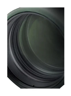Kamerat<Kowa 10x42 BD II XD -kiikarit
