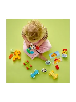 LEGO DUPLO Eläinjuna 10412^ Rakennussarjat