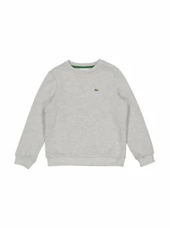 Colleget & Hupparit|Colleget & Hupparit<Lacoste Luomupuuvillainen collegepaita CCA SILVER CHINE