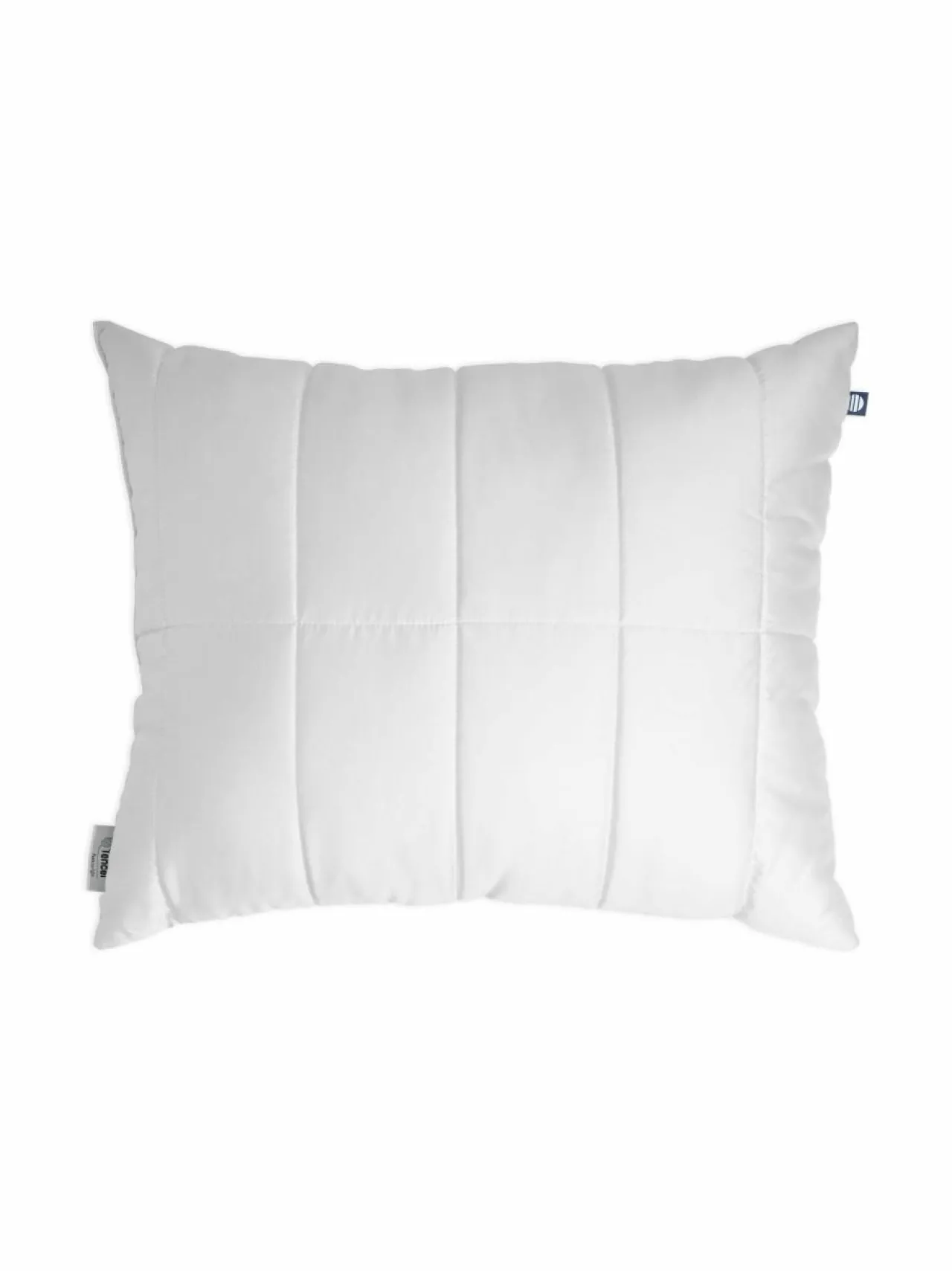 Familon Lux-tyyny 50 x 60 cm, 500 g^ Peitteet & Tyynyt
