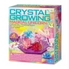 Luovuus & Oppiminen<4M Chrystal Growing Yksisarvisterraario
