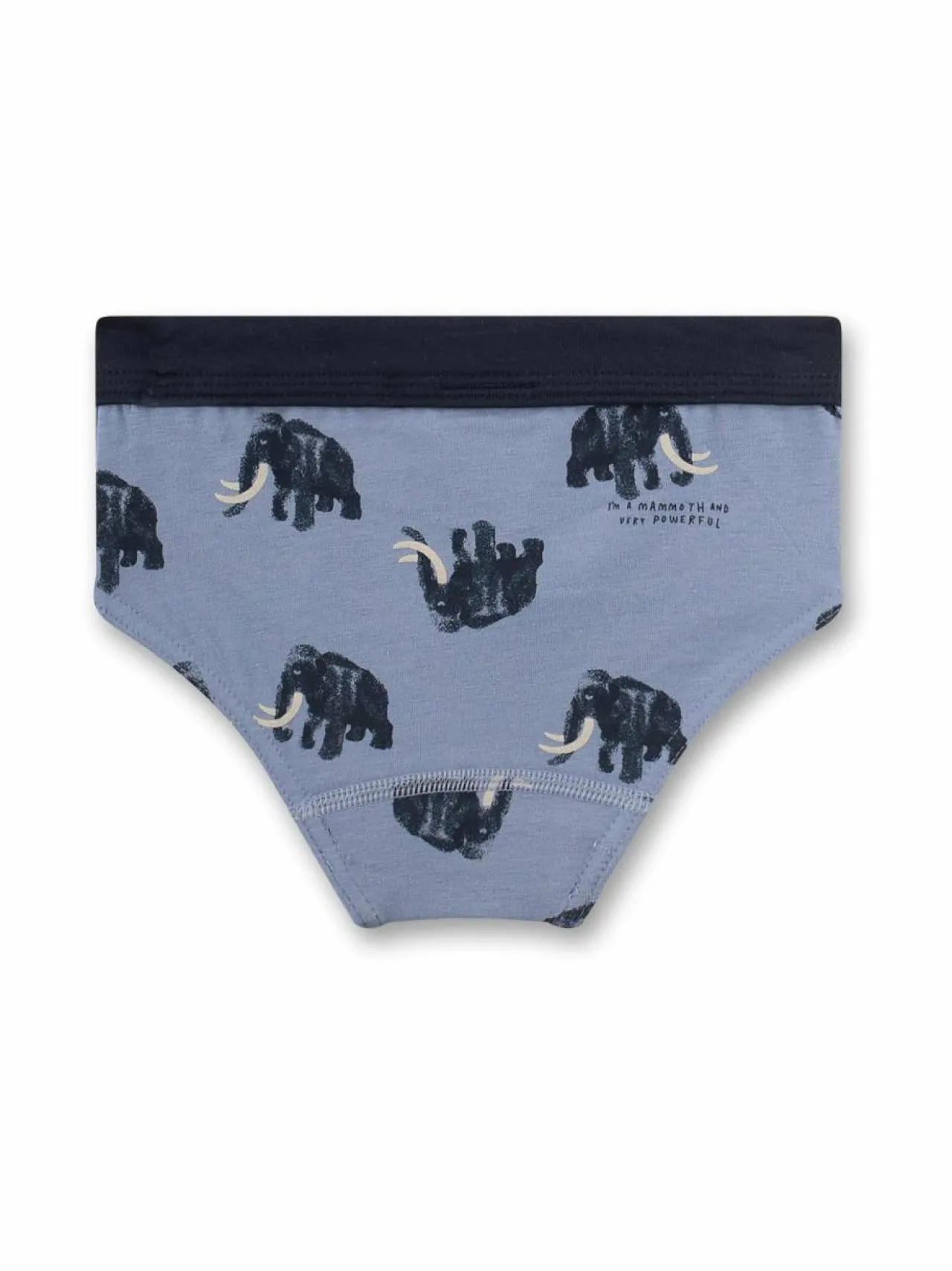 Sanetta Mammoth Slip -alushousut^ Alusvaatteet