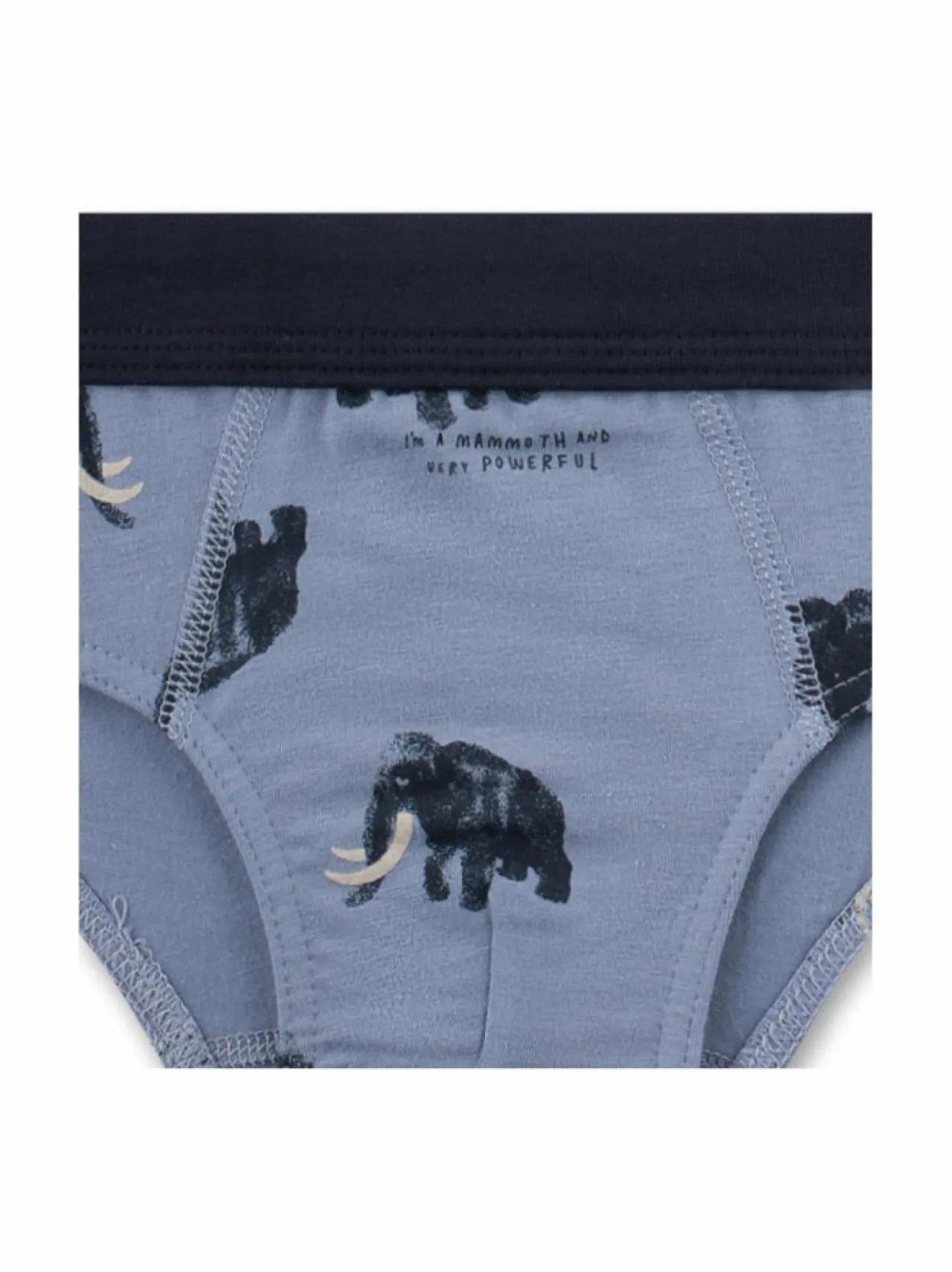 Sanetta Mammoth Slip -alushousut^ Alusvaatteet