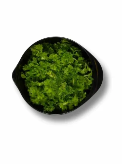 Leivonta<Rosti Margrethe-sekoituskulho 0,5 l BLACK