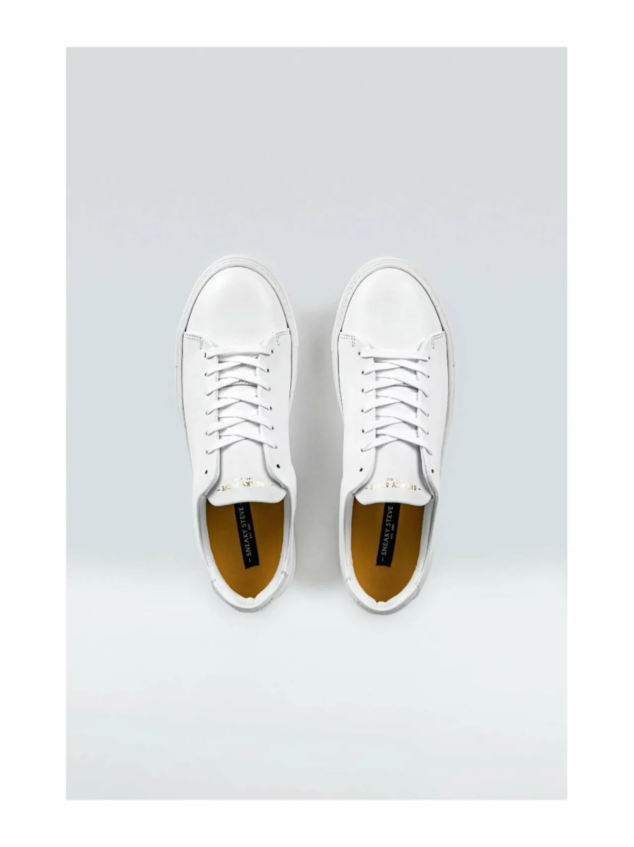 Urheilujalkineet|Tennarit & Sneakerit<Sneaky Steve Moore-nahkasneakerit 88 WHITE