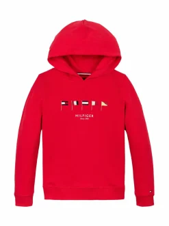 Tommy Hilfiger Multi Flag -huppari^ Colleget & Hupparit