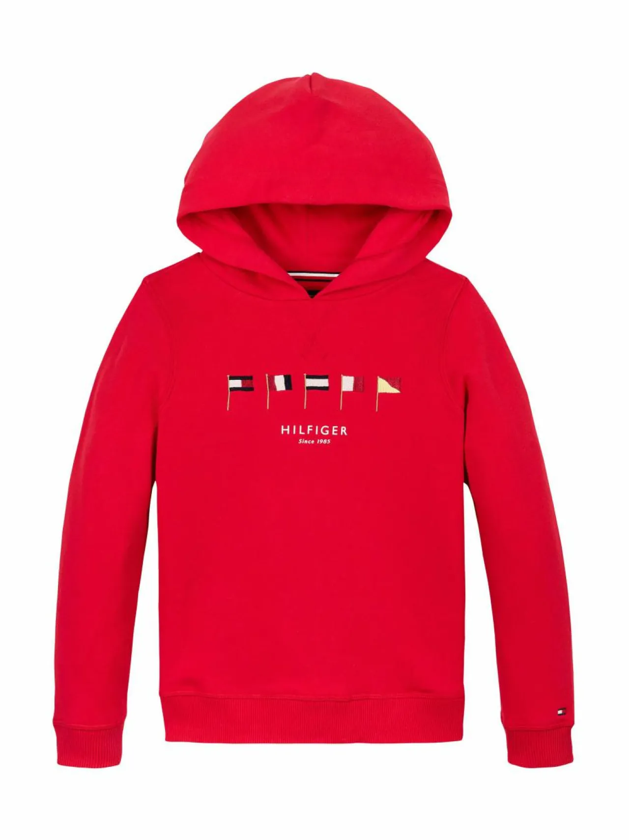 Tommy Hilfiger Multi Flag -huppari^ Colleget & Hupparit