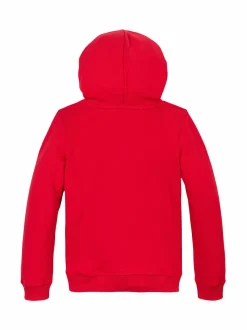 Tommy Hilfiger Multi Flag -huppari^ Colleget & Hupparit