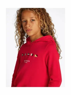 Tommy Hilfiger Multi Flag -huppari^ Colleget & Hupparit