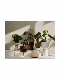 Ruukut & Istutusastiat<Iittala Nappula-kasviruukku WHITE