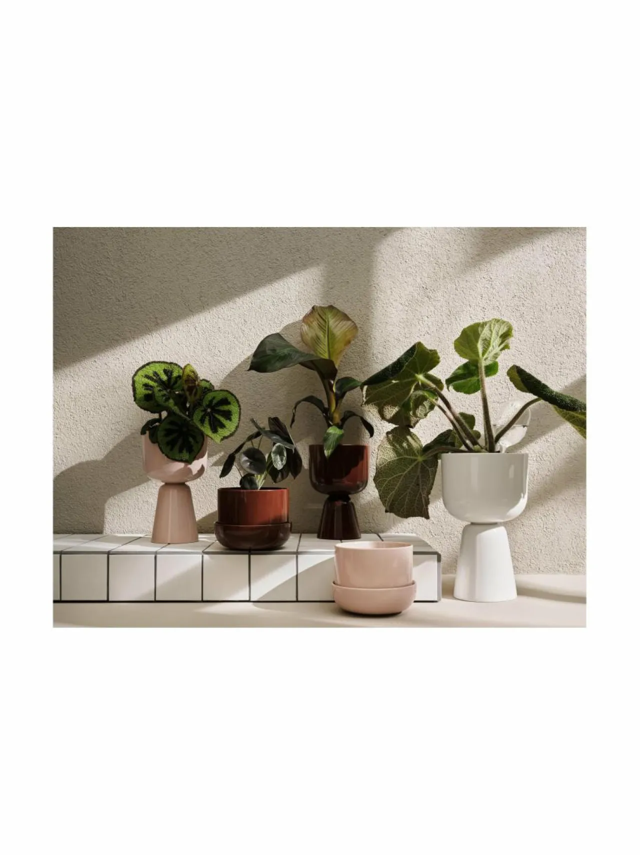 Ruukut & Istutusastiat<Iittala Nappula-kasviruukku WHITE