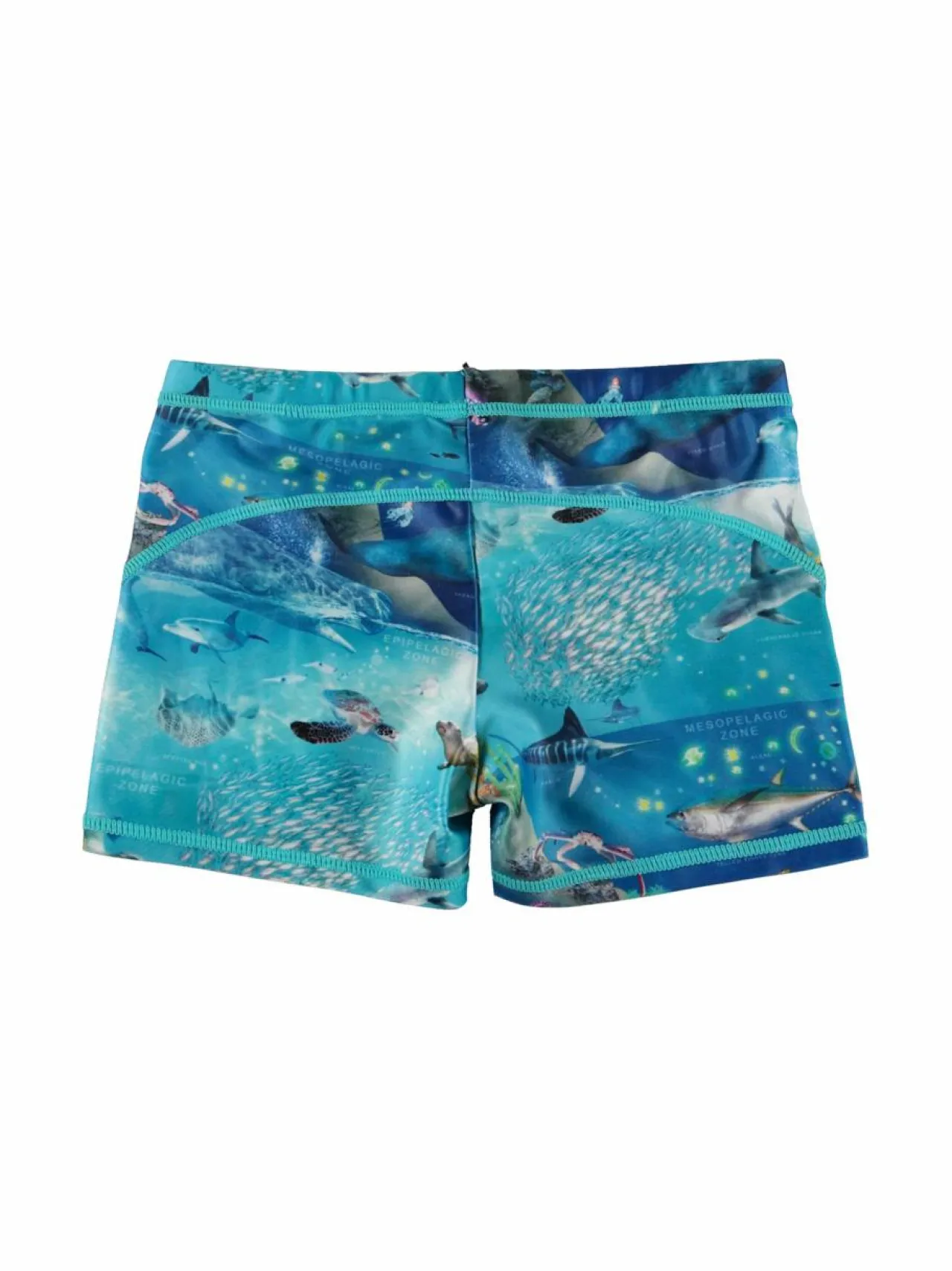 Uima-Asut<Molo Norton-uimashortsit 9001 OCEAN ZONES