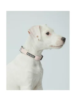 PAIKKA Glow Collar Pale Pink^ Kaulapannat Ja Talutushihnat
