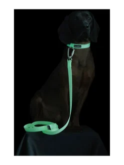 PAIKKA Glow Collar Pale Pink^ Kaulapannat Ja Talutushihnat